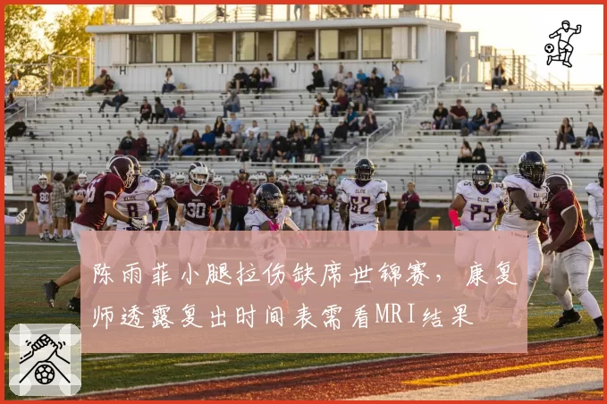 陈雨菲小腿拉伤缺席世锦赛，康复师透露复出时间表需看MRI结果