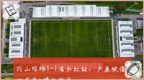冈山绿雉1-1浦和红钻,卢康破僵,达尼洛-博扎扳平