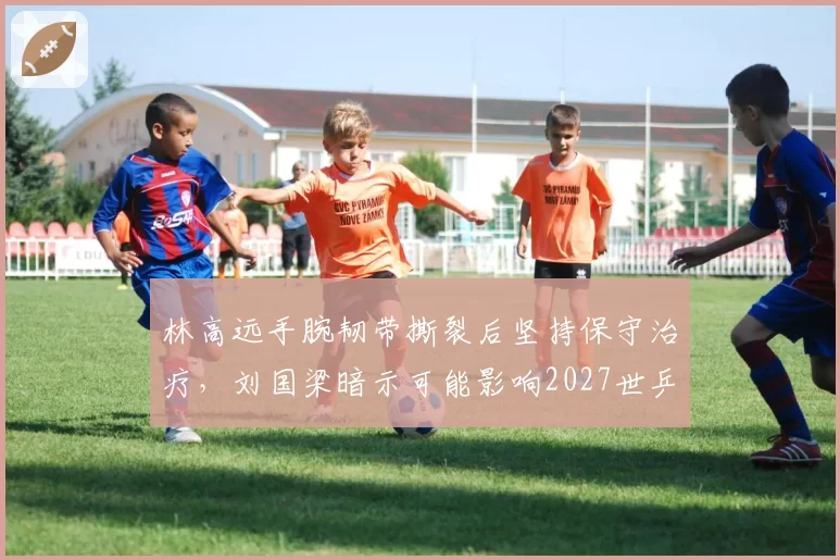 林高远手腕韧带撕裂后坚持保守治疗，刘国梁暗示可能影响2027世乒赛选拔